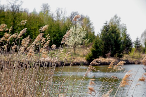 В Оренбуржье в реестр недвижимости внесены новые водоохранные зоны и прибрежные защитные полосы