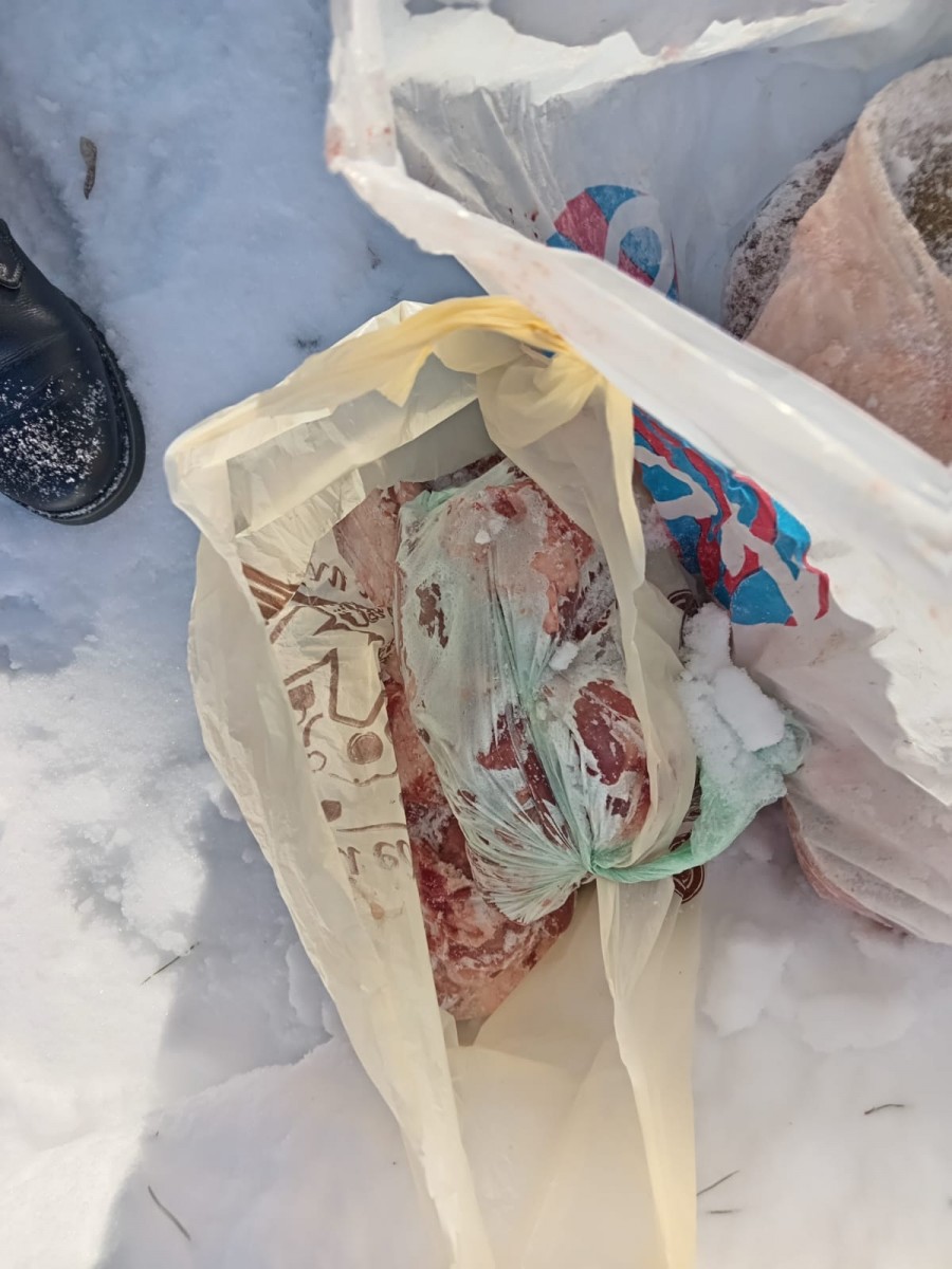 Оренбургскими полицейскими задержаны подозреваемые в краже свиньи