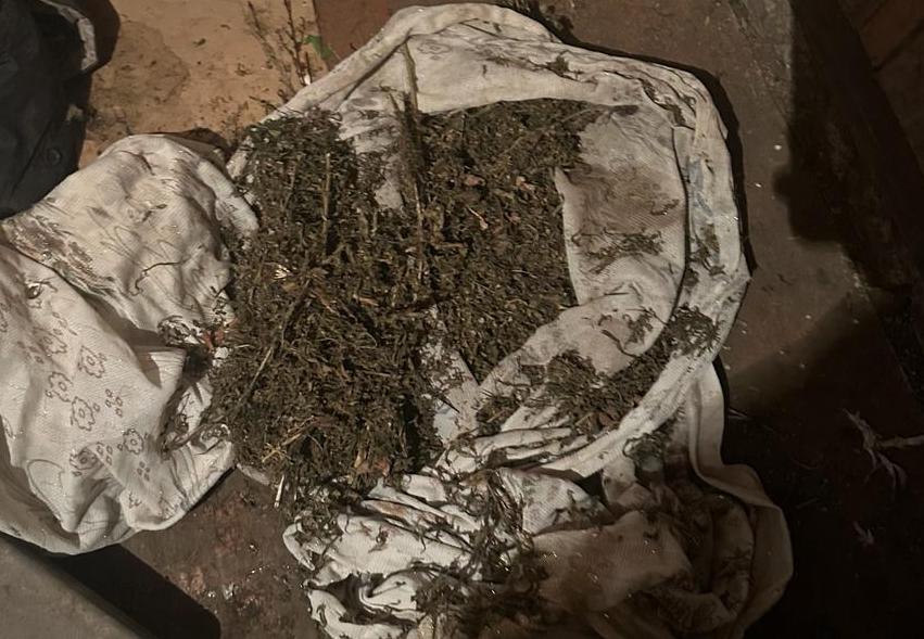 В Бугурусланском районе полицейские изъяли у местного жителя более 700 граммов марихуаны