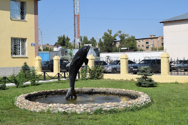 В Оренбуржье отменили торги, устроенные "Черным дельфином" 