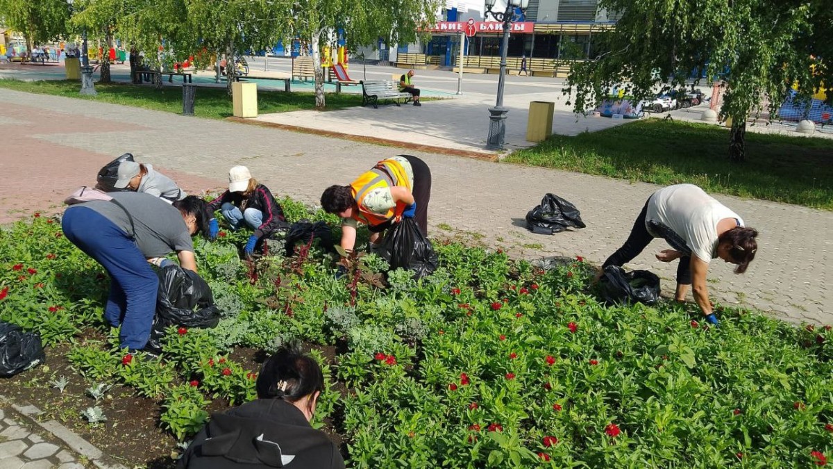 В Оренбурге покосили траву на площади около шести миллионов квадратных метров