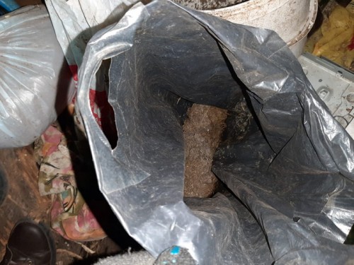 В Сарактасшком районе сотрудники полиции изъяли семь килограмм марихуаны 