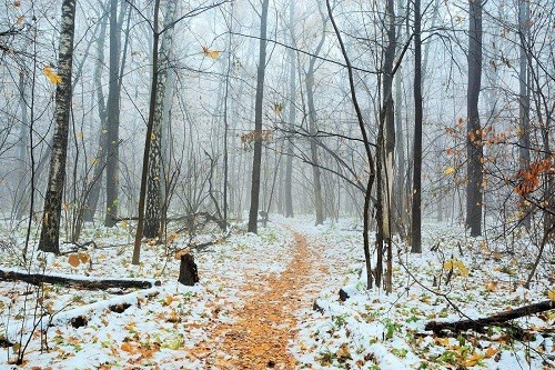 Морозная ночь ожидается в Оренбуржье