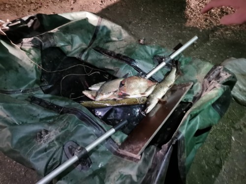 Жители Саракташского района подозреваются в браконьерстве