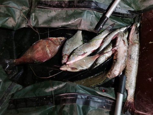 Жители Саракташского района подозреваются в браконьерстве