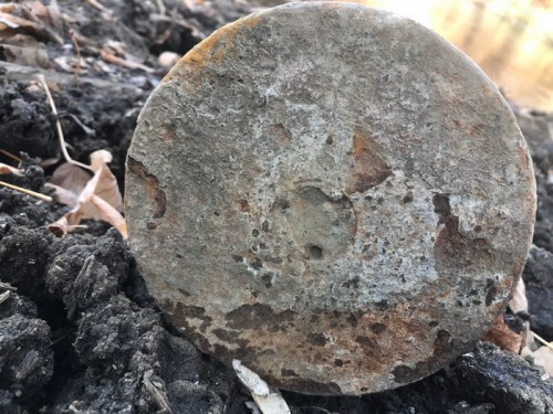 Обнаруженный снаряд представлял опасность, впоследствии он был уничтожен на месте