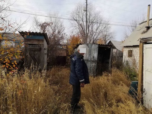 Переволоцкие полицейские задержали подозреваемого в краже ягненка породы эдильбаевская Переволоцкие полицейские задержали подозреваемого в краже ягненка породы эдильбаевская