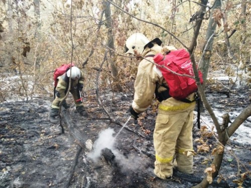 Сразу три природных пожара вспыхнули под Бузулуком