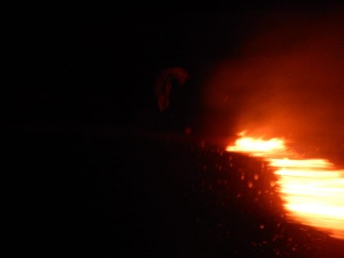 В Бузулукском районе выгорело 10 гектаров сухой травы и леса