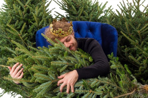 Оренбурженка потеряла круглую сумму при покупке новогодней елки