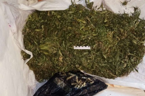 В селе Городище Оренбургского района у местного жителя обнаружена и изъята марихуана