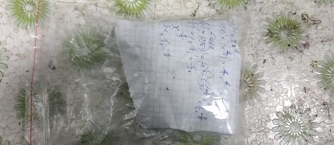 У жителя Первомайского района изъята марихуана У жителя Первомайского района изъята марихуана