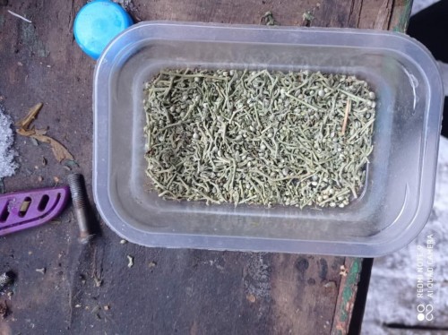 У жителя Грачевского района изъяли более 300 грамм марихуаны