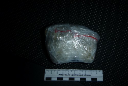 В Сакмаре у двух жителей Оренбурга изъяли около 200 грамм синтетического наркотика