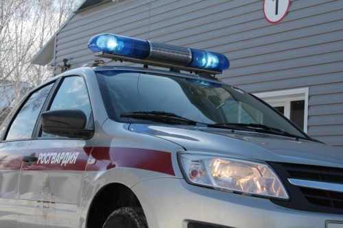 Росгвардейцы задержали в Энергетике пьяного мужчину за рулем автомобиля