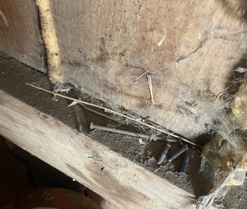 В Кваркено полицейские изъяли карабин и патроны