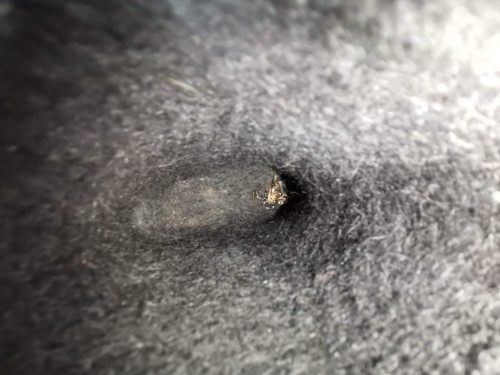 Полицейские  Шарлыка  раскрыли кражу золотых изделий и денег