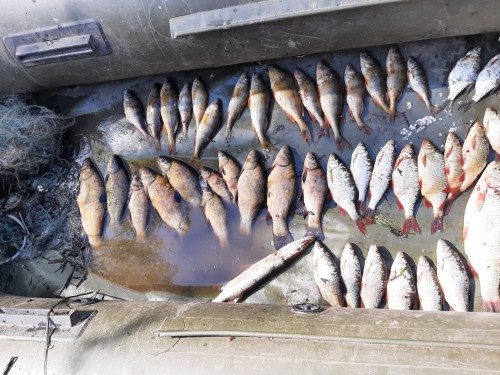 Участковые уполномоченные ОМВД России по Саракташскому району задержали подозреваемых в незаконной добыче рыбы