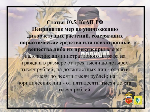УНК УМВД России по Оренбургской области напоминает об ответственности за наркопреступления