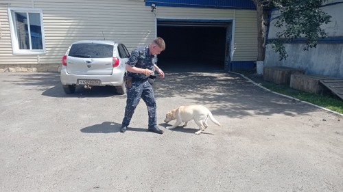  В Оренбургской области в День кинологической службы воспитанники реабилитационного центра «Гармония» познакомились со служебными собаками
