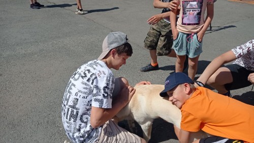  В Оренбургской области в День кинологической службы воспитанники реабилитационного центра «Гармония» познакомились со служебными собаками