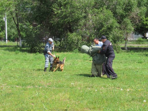 Сотрудники охранно-конвойной службы МУ МВД России «Оренбургское» провели День открытых дверей Сотрудники охранно-конвойной службы МУ МВД России «Оренбургское» провели День открытых дверей