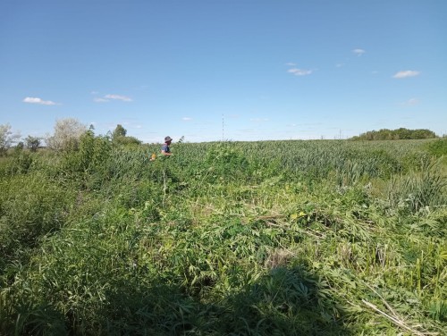 Полицейские изъяли из незаконного оборота более 300 грамм наркотиков Полицейские изъяли из незаконного оборота более 300 грамм наркотиков