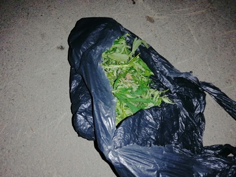 Полицейские изъяли из незаконного оборота более 300 грамм наркотиков Полицейские изъяли из незаконного оборота более 300 грамм наркотиков