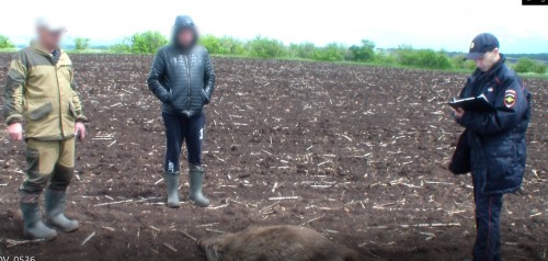 Дознавателем Октябрьского района направлено в суд уголовное дело по факту незаконной охоты с причинением крупного ущерба Дознавателем Октябрьского района направлено в суд уголовное дело по факту незаконной охоты с причинением крупного ущерба