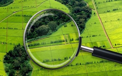 В Оренбуржье выявляют землю для жилищного строительства