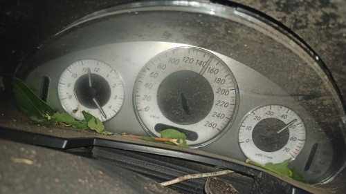 Сотрудниками полиции устанавливаются обстоятельства ДТП, в результате которого погибли 2 человека   