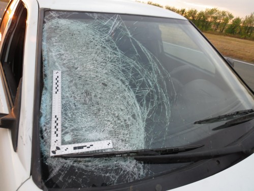 Саракташские полицейские устанавливают обстоятельства гибели пешехода