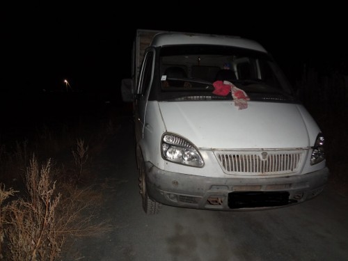 Жители Орска пытались похитить с садового участка профлист