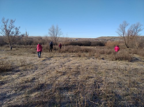 Продолжаются поиски пропавшего в Новосергиевском районе 52-летнего мужчины Продолжаются поиски пропавшего в Новосергиевском районе 52-летнего мужчины
