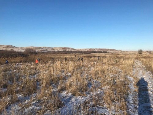 В Переволоцком районе проведена поисковая операция по установлению местонахождения пропавшего 66-летнего местного жителя В Переволоцком районе проведена поисковая операция по установлению местонахождения пропавшего 66-летнего местного жителя