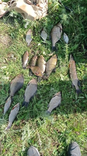 В Новоорском районе сотрудники полиции задержали браконьера, который ловил рыбу запрещенным способом