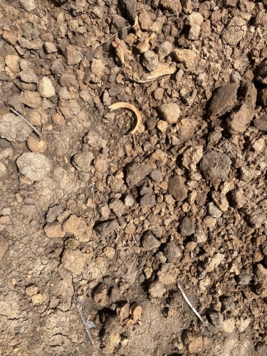 В оренбургском районе обнаружен скелет человека