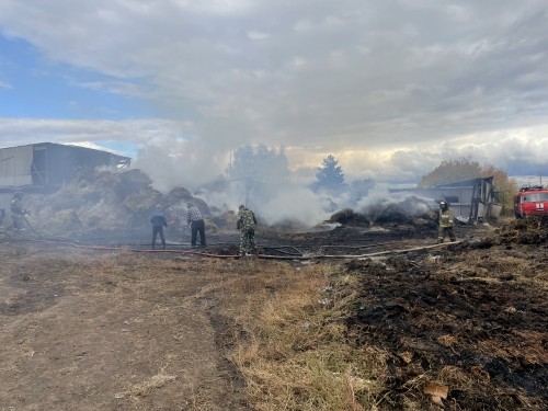 Детская шалость стала причиной пожара в селе Шарлык