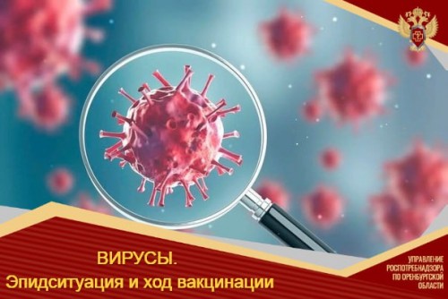 Продолжается прививочная кампания против гриппа.