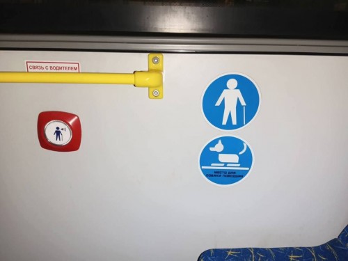 В оренбургских автобусах появились места для инвалидов с собакой-поводырём.