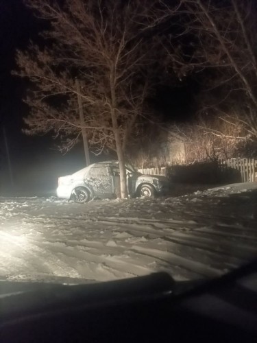 В Ясненском городском округе водитель погиб от столкновения с деревом 