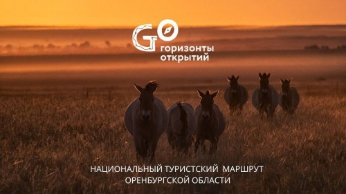 В новом сезоне запланировано девять заездов по национальному туристскому маршруту Оренбургской области «Горизонты открытий»