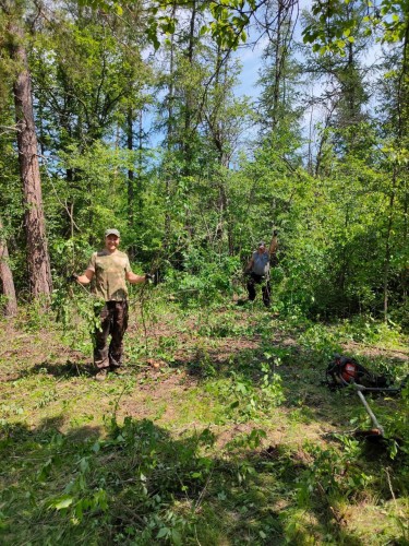 В «Бузулукском бору» продолжается реконструкция дендросада