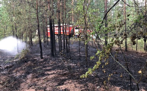 В Оренбуржье спасли Бузулукский бор от пожара