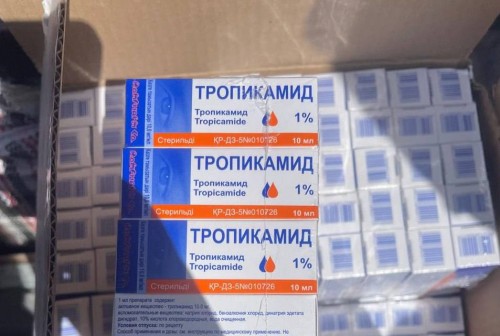 На границе Оренбургской области задержали крупную партию «аптечного наркотика»