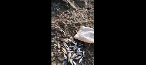 В Новоорском районе сотрудники полиции задержали браконьера, который ловил рыбу запрещенным способом