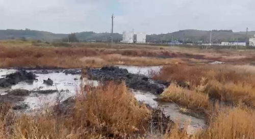 В Бугурусланском районе в поле прорвало трубу с соляным раствором