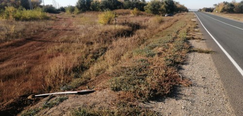 В Илекском районе водитель из Самары врезался в дорожный знак