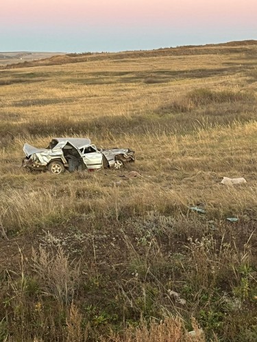 В Красногвардейском районе кабаны устроили ДТП с погибшим человеком