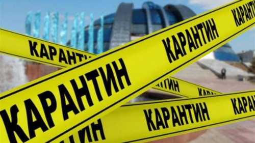 В Оренбуржье введен карантин по бешенству